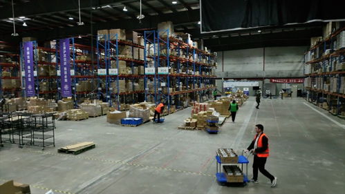 強信心 開新局 跨境電商加速跑，直擊上海港進出口商品中轉倉的技術進出口新篇