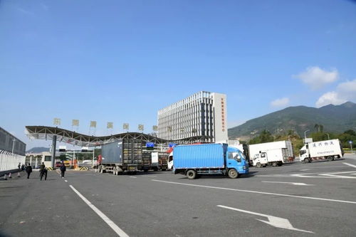 累計進出區貨值超1884億元 清溪保稅物流中心迎來封關運行四周年，技術進出口成亮點